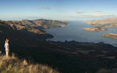 Climate change risk screening