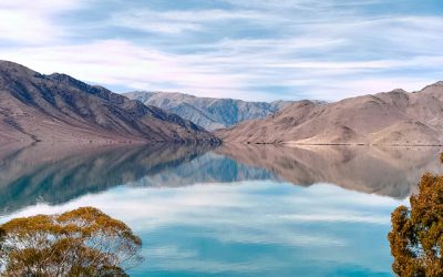 February update: Mayoral Forum