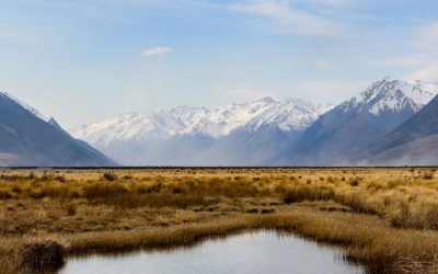 February 2019 update: Mayoral Forum